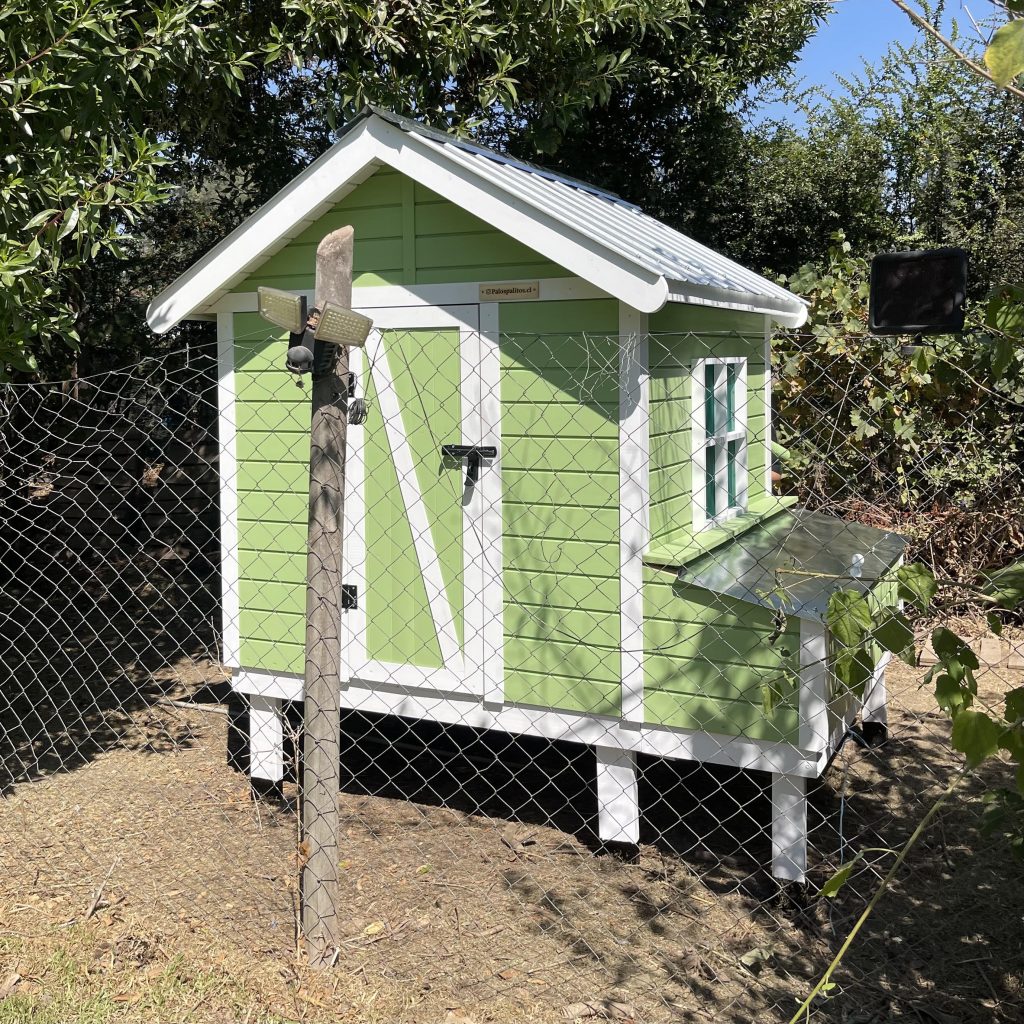 gallinero de madera